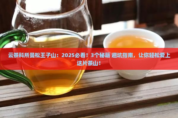 云茶科所曼松王子山