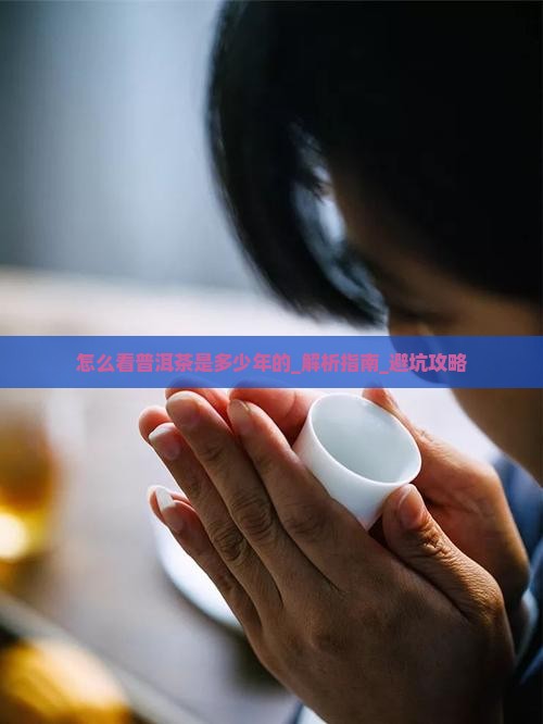 怎么看普洱茶是多少年的