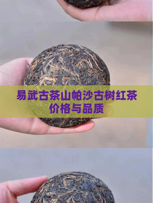 易武古茶山帕沙古树红茶价格
