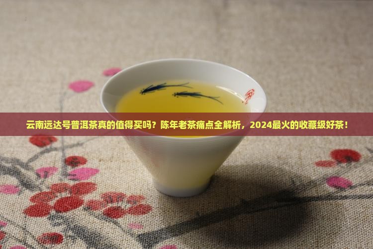 云南远达号普洱茶