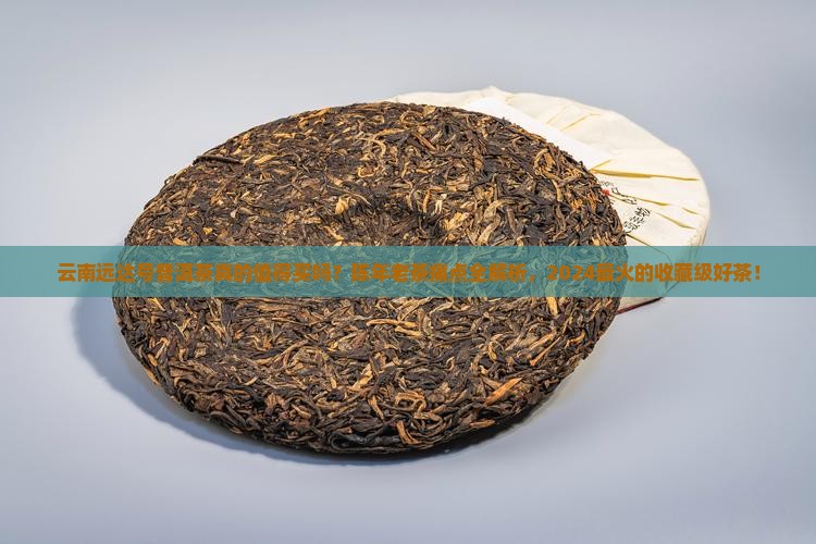 云南远达号普洱茶