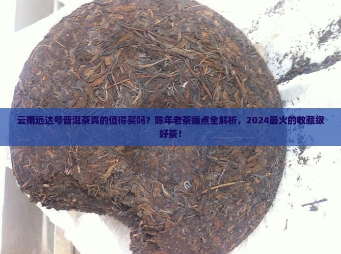 云南远达号普洱茶