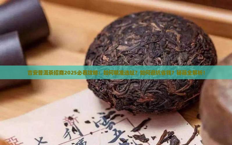 吉安普洱茶招商