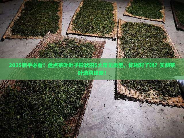 茶叶的叶子有哪些形状