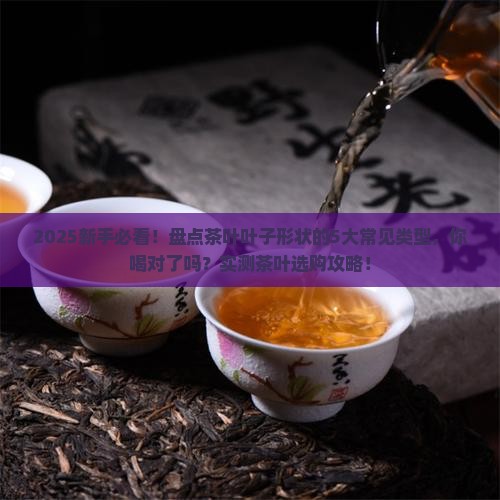 茶叶的叶子有哪些形状