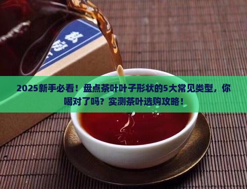 茶叶的叶子有哪些形状