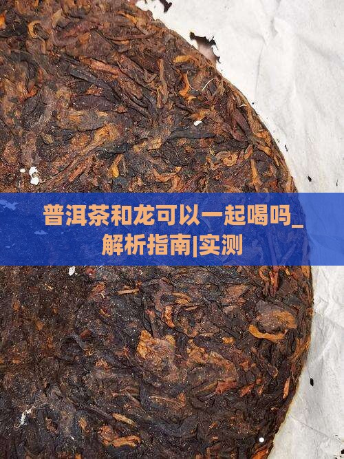 普洱茶和龙可以一起喝吗