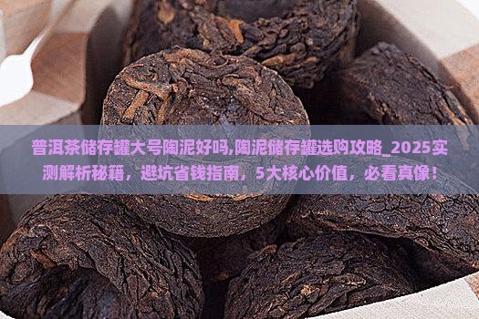 普洱茶储存罐大号陶泥好吗