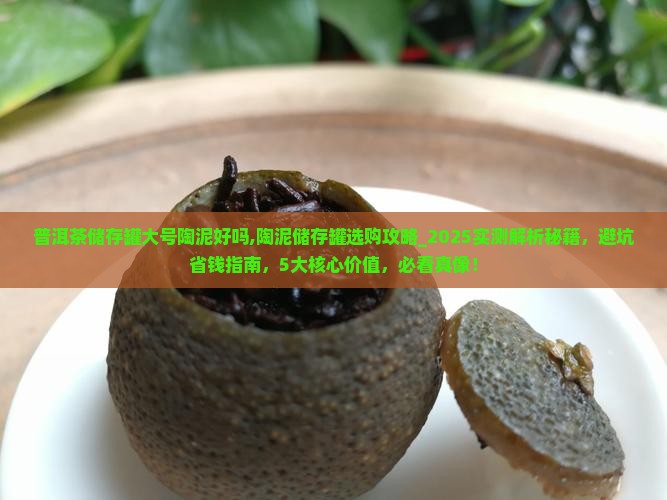 普洱茶储存罐大号陶泥好吗