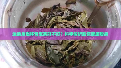 运动后喝杯普洱茶好不好