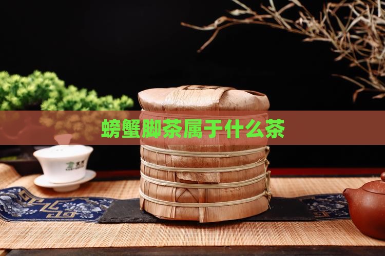 螃蟹脚茶属于什么茶