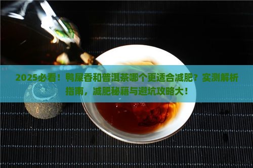 鸭屎茶和普洱茶哪个适合减肥
