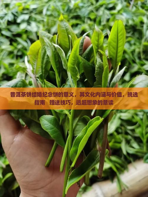 普洱茶饼结婚纪念饼的意义