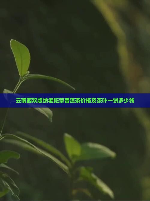 云南西双版纳老班章普洱茶