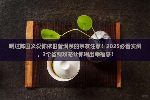 陈国义爱你依旧普洱茶