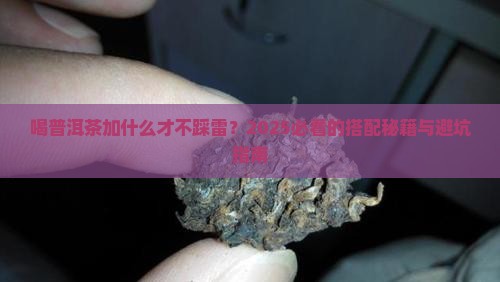 喝普洱茶加什么比较好