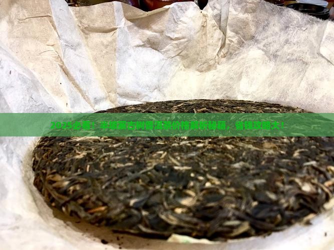 半坡寨古树普洱茶价格表