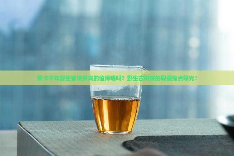 那卡千年野生普洱茶 那卡千年野生普洱茶