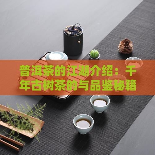 普洱茶的江湖介绍