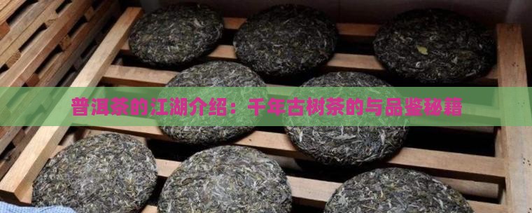 普洱茶的江湖介绍