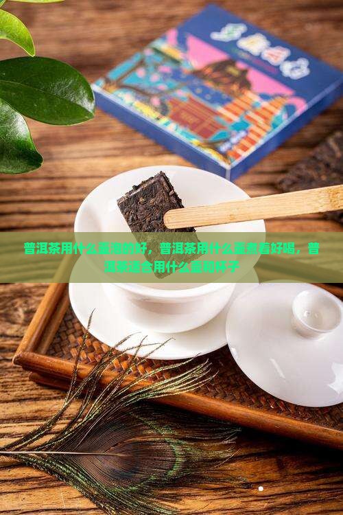 普洱茶用什么壶泡的好
