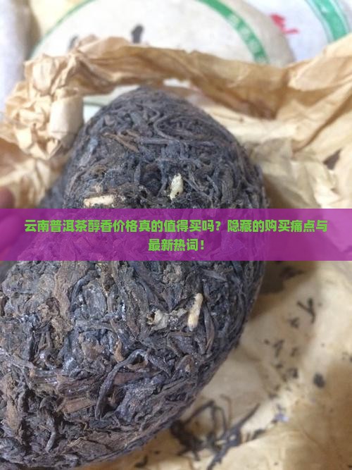 云南普洱茶醇香价格