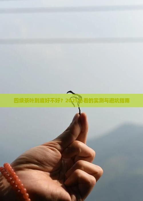 四级茶叶好不好