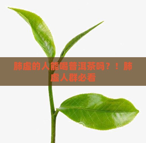 肺虚的人能喝普洱茶吗