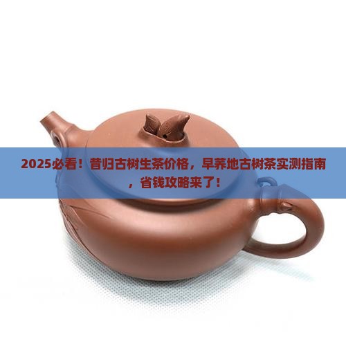 昔归古树生茶价格早荞地古树茶