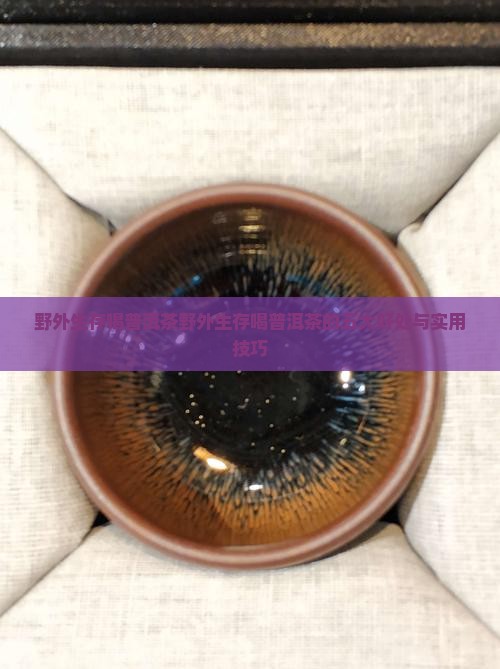 野外生存喝普洱茶