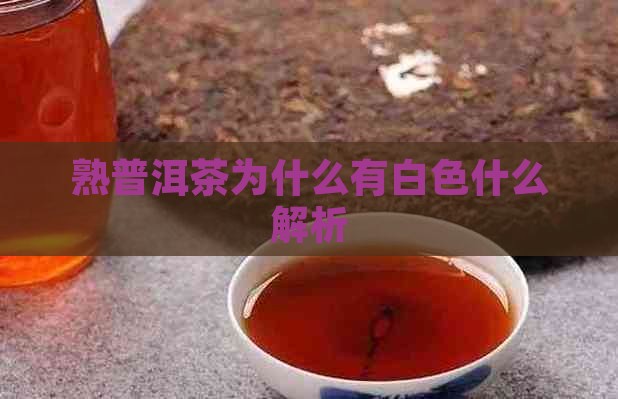 熟普洱茶为什么有白色