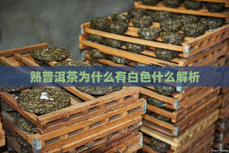 熟普洱茶为什么有白色