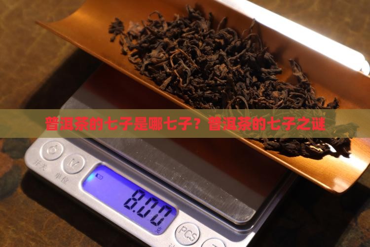普洱茶的七子是哪七子
