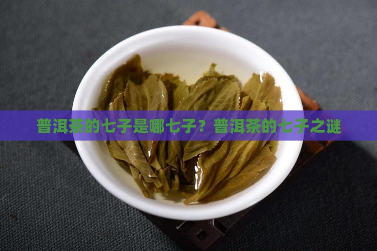 普洱茶的七子是哪七子