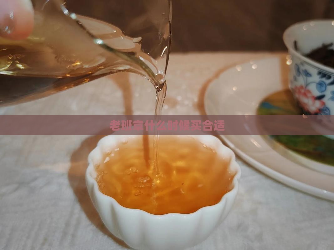 老班章什么时候买