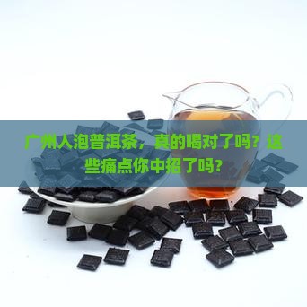 广州人泡普洱茶
