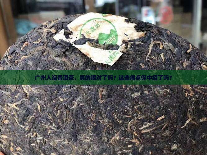 广州人泡普洱茶
