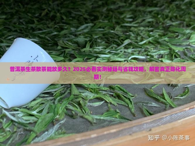 普洱茶生茶散茶能放多久