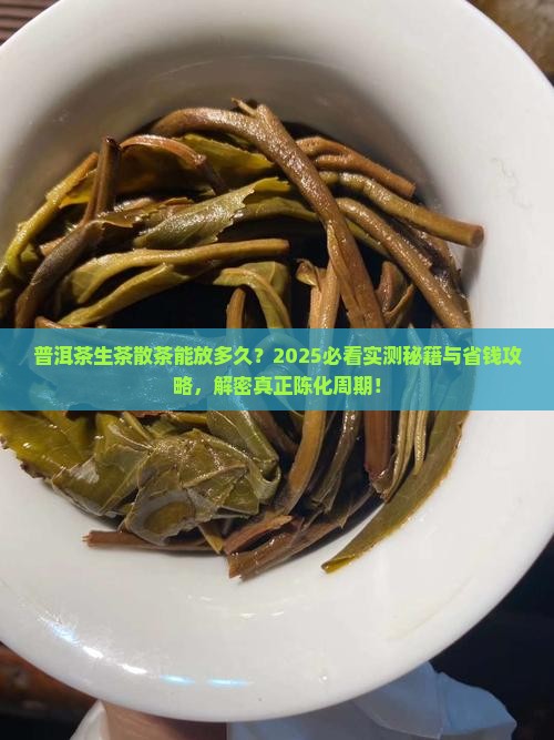 普洱茶生茶散茶能放多久