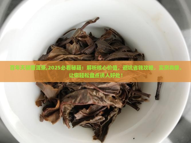 百年天骄普洱茶