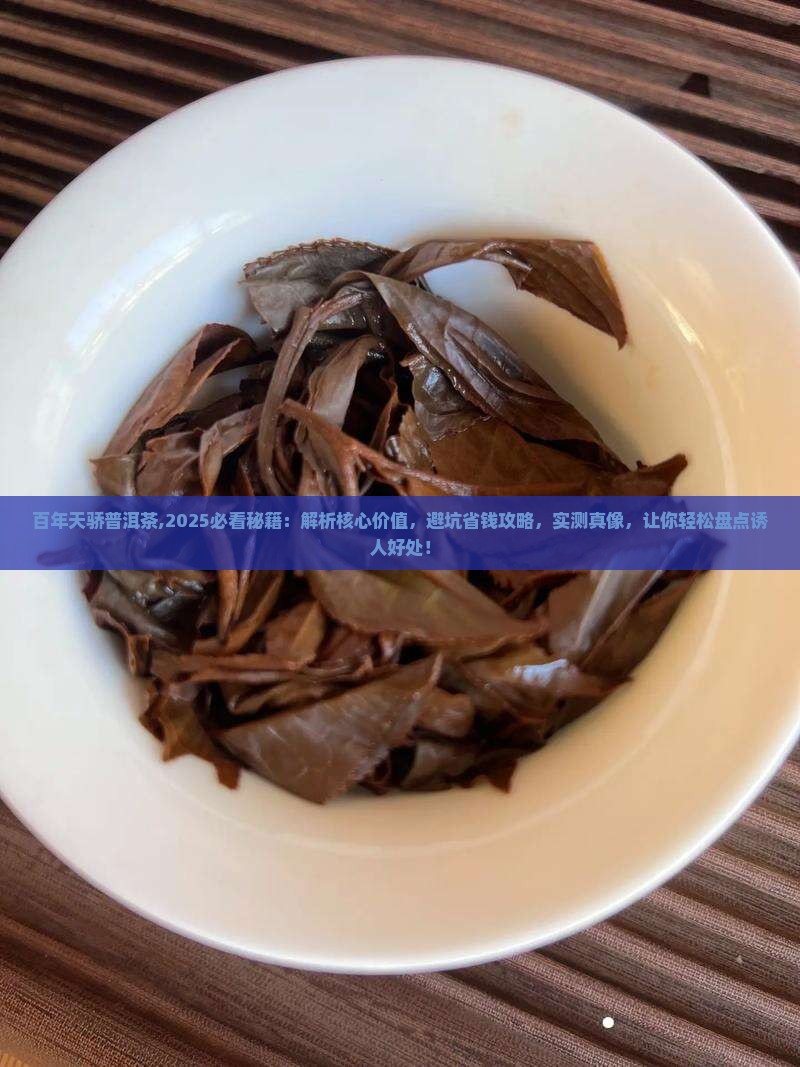 百年天骄普洱茶