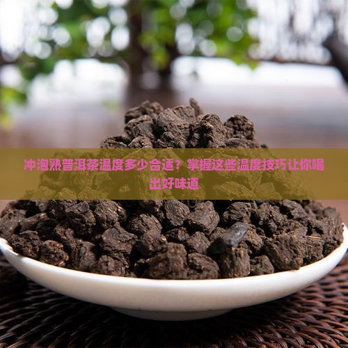 冲泡熟普洱茶温度