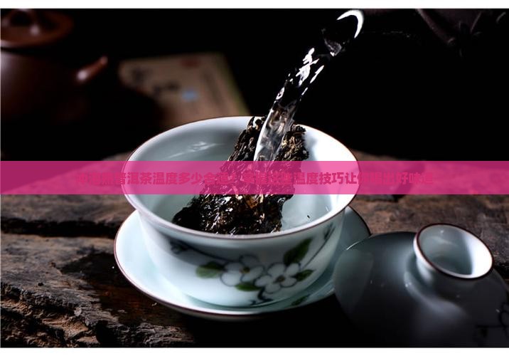 冲泡熟普洱茶温度