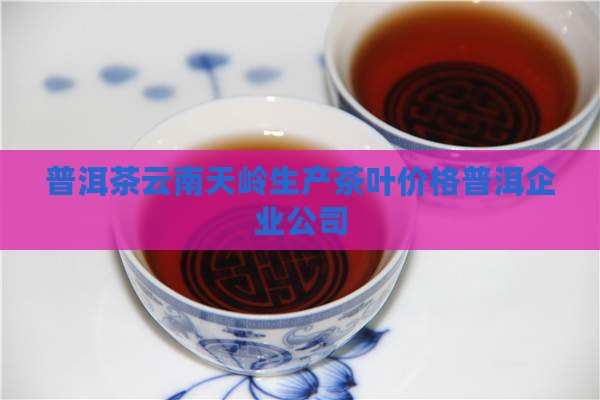 普洱茶云南天岭