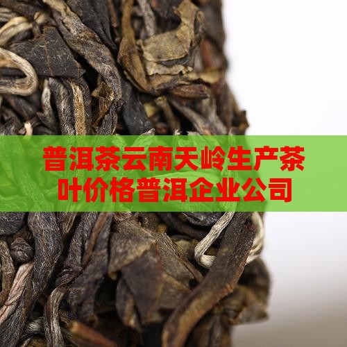 普洱茶云南天岭