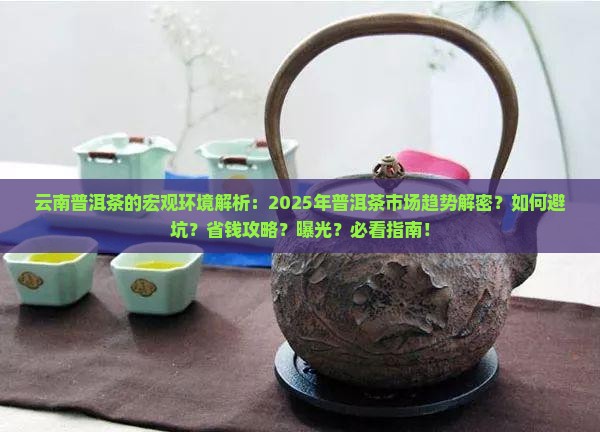 云南普洱茶的宏观环境