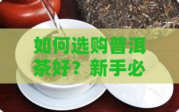 如何选购普洱茶好