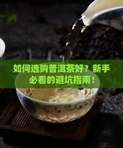 如何选购普洱茶好