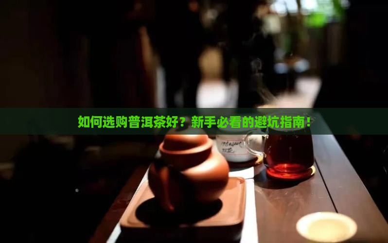 如何选购普洱茶好