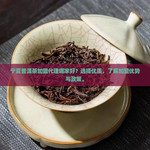 宁夏普洱茶加盟代理哪家好